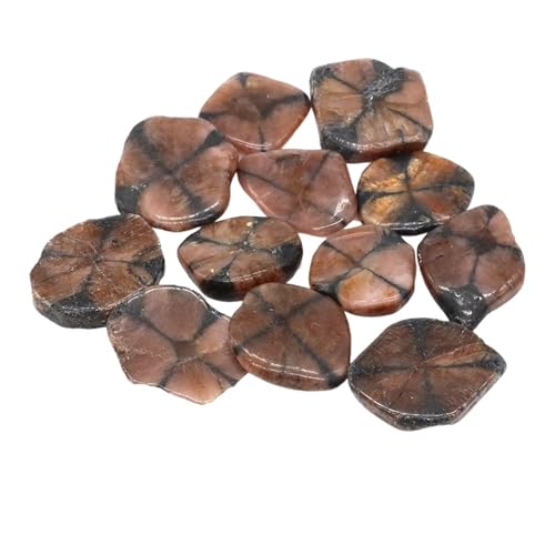 GMGQJST Aquarium Steine Trommelsteine, Massenerz, Kies, Probe, Heilkristalle, Quarz, Energieedelsteine, Mineralien, Aquarium, Garten, Heimdekoration(Color11,50g) von GMGQJST