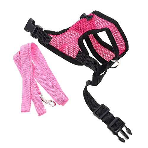 Hühnchengurt Zieh Seil Haustier Henne Leine Wandertraktionseil Atmungsaktives Westegurt für Outdoor -Aktivitäten Hühnchengurt Zieh Seil Haustier Henne Leine Wandertraktionseil Atmungsaktives Westegurt für Outdoor -Aktivitäten von GMJGCIRVC