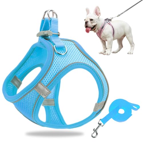 Hundegeschirr Kleine Hunde, Welpengeschirr Step-in Geschirr aus Air Mesh, Anti Zug Reflektierend Atmungsaktiv Brustgeschirr, Hundegeschirr Welpen Katzengeschirr Brustgeschirr (Blau, L/8.5-10kg) von GMTEO