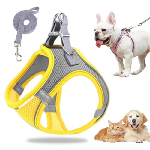 Hundegeschirr Kleine Hunde, Welpengeschirr Step-in Geschirr aus Air Mesh, Anti Zug Reflektierend Atmungsaktiv Brustgeschirr, Hundegeschirr Welpen Katzengeschirr Brustgeschirr (Gelb, XS/3-6kg) von GMTEO