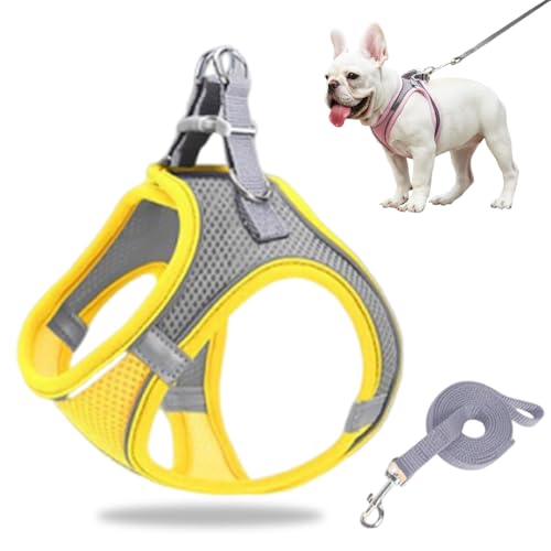 Hundegeschirr Kleine Hunde, Welpengeschirr Step-in Geschirr aus Air Mesh, Anti Zug Reflektierend Atmungsaktiv Brustgeschirr, Hundegeschirr Welpen Katzengeschirr Brustgeschirr (Gelb, XXS/1.5-3kg) von GMTEO