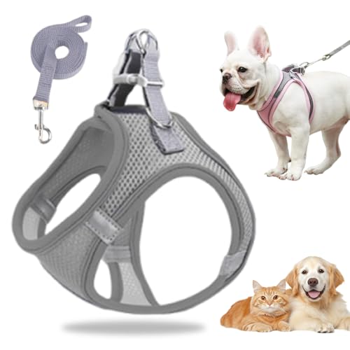 Hundegeschirr Kleine Hunde, Welpengeschirr Step-in Geschirr aus Air Mesh, Anti Zug Reflektierend Atmungsaktiv Brustgeschirr, Hundegeschirr Welpen Katzengeschirr Brustgeschirr (Grau, M/6.5-8.5kg) von GMTEO