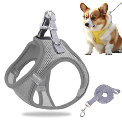 Hundegeschirr Kleine Hunde, Welpengeschirr Step-in Geschirr aus Air Mesh, Anti Zug Reflektierend Atmungsaktiv Brustgeschirr, Hundegeschirr Welpen Katzengeschirr Brustgeschirr (Grau, S/4.5-6.5kg) von GMTEO