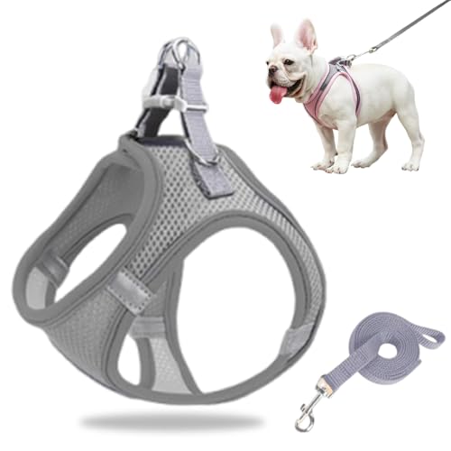 Hundegeschirr Kleine Hunde, Welpengeschirr Step-in Geschirr aus Air Mesh, Anti Zug Reflektierend Atmungsaktiv Brustgeschirr, Hundegeschirr Welpen Katzengeschirr Brustgeschirr (Grau, XXS/1.5-3kg) von GMTEO