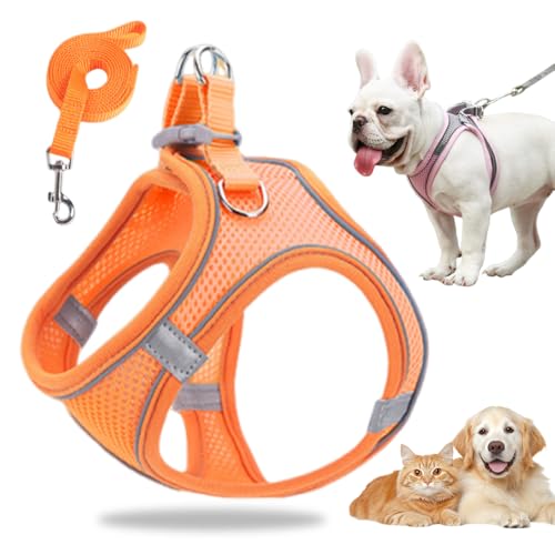 Hundegeschirr Kleine Hunde, Welpengeschirr Step-in Geschirr aus Air Mesh, Anti Zug Reflektierend Atmungsaktiv Brustgeschirr, Hundegeschirr Welpen Katzengeschirr Brustgeschirr (Orange, L/8.5-10kg) von GMTEO
