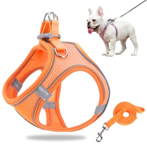 Hundegeschirr Kleine Hunde, Welpengeschirr Step-in Geschirr aus Air Mesh, Anti Zug Reflektierend Atmungsaktiv Brustgeschirr, Hundegeschirr Welpen Katzengeschirr Brustgeschirr (Orange, M/6.5-8.5kg) von GMTEO