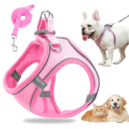 Hundegeschirr Kleine Hunde, Welpengeschirr Step-in Geschirr aus Air Mesh, Anti Zug Reflektierend Atmungsaktiv Brustgeschirr, Hundegeschirr Welpen Katzengeschirr Brustgeschirr (Rosa, L/8.5-10kg) von GMTEO