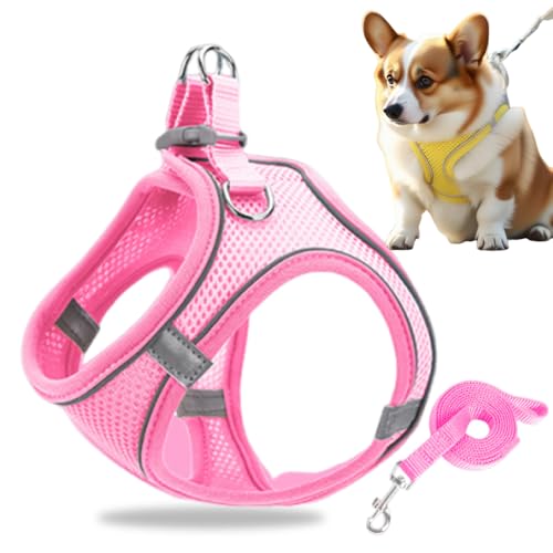 Hundegeschirr Kleine Hunde, Welpengeschirr Step-in Geschirr aus Air Mesh, Anti Zug Reflektierend Atmungsaktiv Brustgeschirr, Hundegeschirr Welpen Katzengeschirr Brustgeschirr (Rosa, S/4.5-6.5kg) von GMTEO