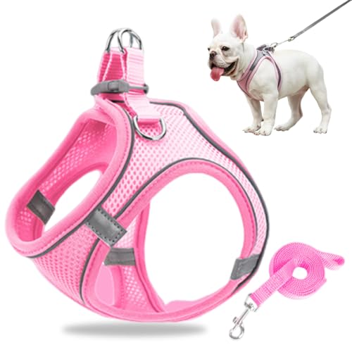 Hundegeschirr Kleine Hunde, Welpengeschirr Step-in Geschirr aus Air Mesh, Anti Zug Reflektierend Atmungsaktiv Brustgeschirr, Hundegeschirr Welpen Katzengeschirr Brustgeschirr (Rosa, XXS/1.5-3kg) von GMTEO
