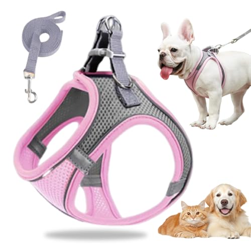 Hundegeschirr Kleine Hunde, Welpengeschirr Step-in Geschirr aus Air Mesh, Anti Zug Reflektierend Atmungsaktiv Brustgeschirr, Hundegeschirr Welpen Katzengeschirr Brustgeschirr (Rosa/1, M/6.5-8.5kg) von GMTEO