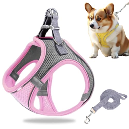 Hundegeschirr Kleine Hunde, Welpengeschirr Step-in Geschirr aus Air Mesh, Anti Zug Reflektierend Atmungsaktiv Brustgeschirr, Hundegeschirr Welpen Katzengeschirr Brustgeschirr (Rosa/1, S/4.5-6.5kg) von GMTEO
