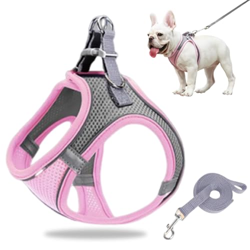 Hundegeschirr Kleine Hunde, Welpengeschirr Step-in Geschirr aus Air Mesh, Anti Zug Reflektierend Atmungsaktiv Brustgeschirr, Hundegeschirr Welpen Katzengeschirr Brustgeschirr (Rosa/1, XXS/1.5-3kg) von GMTEO