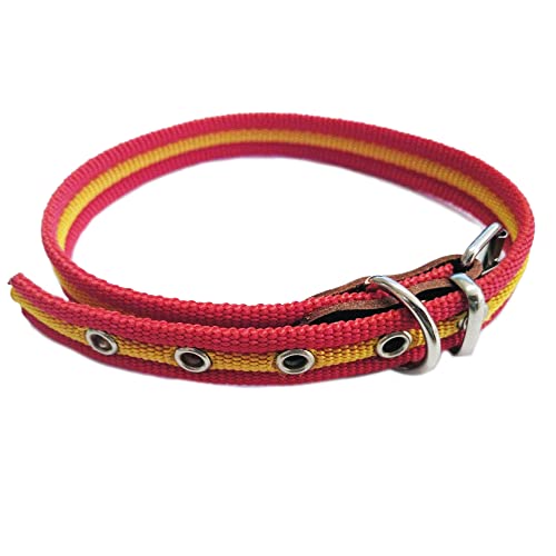 Global Hundehalsband Flagge Spanien | Hundehalsband aus Baumwolle mit Verstärkung an der Kupplung, Halsband 30 cm, langlebig, Halsumfang 6,5 bis 8 cm Global Hundehalsband Flagge Spanien | Hundehalsband aus Baumwolle mit Verstärkung an der Kupplung, Halsband 30 cm, langlebig, Halsumfang 6,5 bis 8 cm von GNCGarden