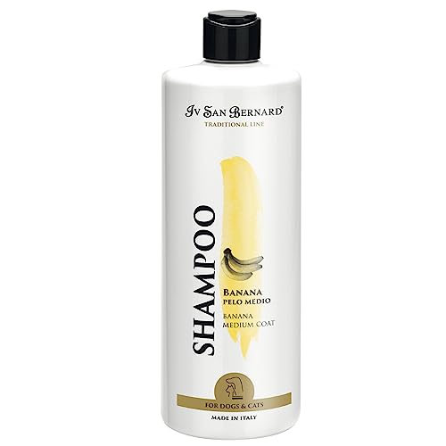 Bananen-Shampoo, Shampoo für Katzen und Hunde, 500 ml, hilft, die Elastizität des Haares zu normalisieren, mehr Weichheit und Glanz, ideal für mittlere Haare - IV San Bernard Bananen-Shampoo, Shampoo für Katzen und Hunde, 500 ml, hilft, die Elastizität des Haares zu normalisieren, mehr Weichheit und Glanz, ideal für mittlere Haare - IV San Bernard von GNCPets