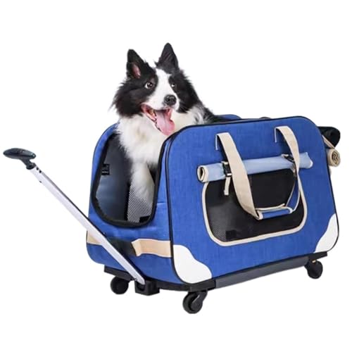 GNbow Transportbox for Haustiere, Katzentransportboxen, Reisebox for Haustiere, Deluxe-Transportbox for Haustiere Mit Weichen Seiten, Rädern Und Zusammenklappbarem Design(Blau) von GNbow