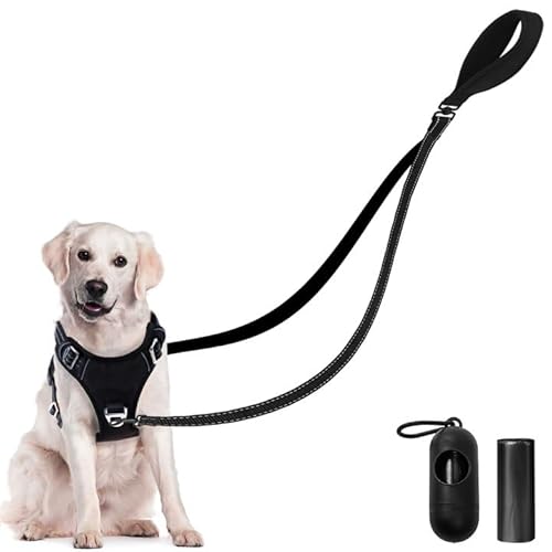 GOEDCH 12m Doppelleine für 2 Hunde: Reflektierend Doppelte Leinen mit Müllsack, Keine Verwicklung Robuste Nylon hundeleine, Doppelte Hundeleine zum Koppeln für kleine bis mittelgroße Hunde von GOEDCH
