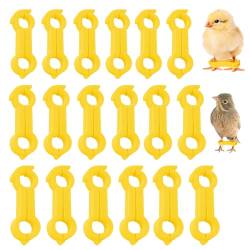 GOEDCH Küken Beinspange: 18 Stück Vogelbeinorthese, Spreizbein-Humpelbandage für Küken in 3 Größen, Kükenbein-Korrekturbänder für Vögel, Papageien, Stare, Spreizbein Hüpfer Klammer, Ausrichtungshilfe von GOEDCH