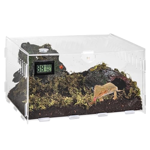 GOEDCH Reptilien Terrarium Box: 20×12×12cm Reptil Fütterungsbox mit Temperatur Hygrometer, Mini Transparent Beobachtungsbox für Spinnen, Gehörnte Frösche, Echse, Schlangen, Insekten Futterbox von GOEDCH