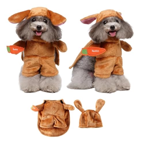 Haustier-Cosplay, lustiges Kostüm, Claus-Form, Party, ausgefallenes Festival, tödliche Puppe, Weihnachten, Haustierkleidung, Halloween, Katzenkostüm (PF74, XL (8–10 kg) von GOFDASY