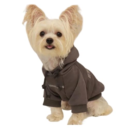 Hunde-Kapuzenpullover, mit Fleece gefüttert, weich, warm, Pullover für kleine Hunde (dünn, grau, XL) von GOFDASY