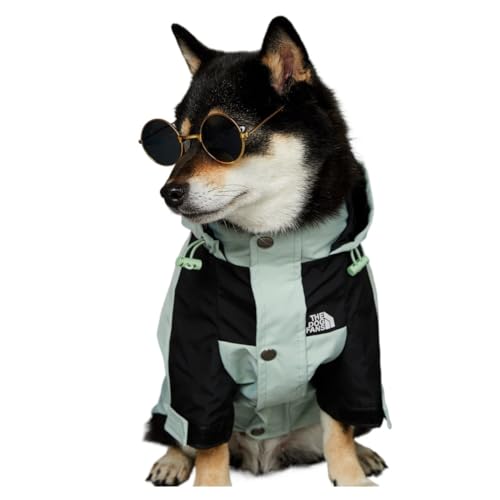 Hundebekleidung Regenmantel für kleine und große Hunde, Windjacke, mit Kapuze der französischen Bulldogge, Grün, Größe L (4,5–6 kg) von GOFDASY