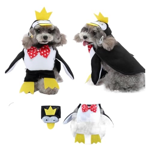 Lustiges Haustierkostüm für Haustiere, Cosplay, Claus-Form, Party, ausgefallenes Festival, tödliche Puppe, Weihnachten, Haustierkleidung, Halloween, Katzenkostüm (PF91, XL (8–10 kg) von GOFDASY