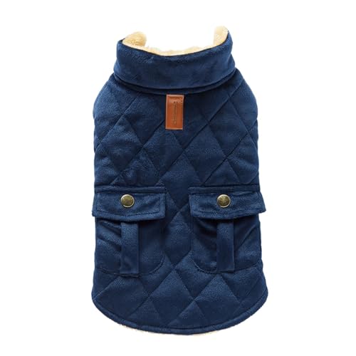 Warme Hundekleidung für Herbst und Winter, hoher Kragen, für Welpen, weiche Fleece-Kleidung für kleine und mittelgroße Hunde, Französische Bulldogge, Outfit (Blau, XXL) von GOFDASY