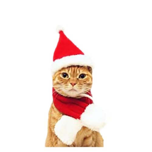 Weihnachtsmütze für Haustiere, niedliches Geweih, Speicheltuch, Katze, Kopfbedeckung, Hut, Geburtstags-Verkleidung, Plüsch, Kaninchenohren, federnd, Halloween-Zubehör (10) von GOFDASY
