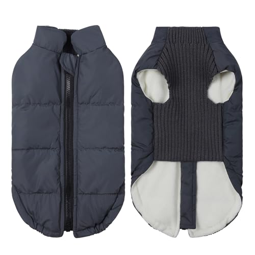 Winter-Hundejacke, winddicht, warme Hundekleidung für kleine, mittelgroße Hunde, Katzen, Welpen, Daunenmantel, Chihuahua, Shih Tzu, Kostüm, Yorkies (Schwarz, 19 mm) von GOFDASY