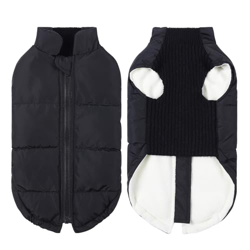 Winterjacke für Hunde, winddicht, warm, für kleine und mittelgroße Hunde, Katzen, Welpen, Daunenmantel, Chihuahua, Shih Tzu, Kostüm, Yorkies (schwarz) von GOFDASY
