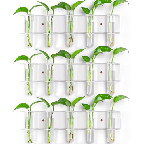 GOFOWRK Wandpflanzen-Anzuchtstationen, 3-stöckige Acryl-Anzuchtpflanzenhalter mit 15 Glas-Anzuchtröhrenvasen, vollständig transparente Anzuchtvasen für Hydrokulturpflanzen, Schneiden von Blumen GOFOWRK Wandpflanzen-Anzuchtstationen, 3-stöckige Acryl-Anzuchtpflanzenhalter mit 15 Glas-Anzuchtröhrenvasen, vollständig transparente Anzuchtvasen für Hydrokulturpflanzen, Schneiden von Blumen von GOFOWRK