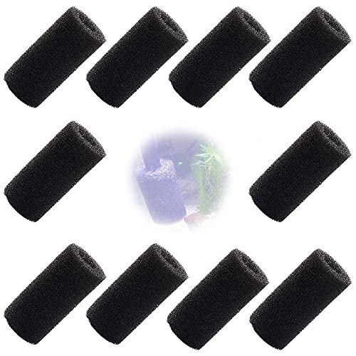 GOIYZTTR 10 Stück Aquarium Schwammfilter 20mm Vorfilterschwamm für Aquarium Schwämme Filter Schutz Vorfilter-Schwammrolle für Aquarium Schutz GOIYZTTR 10 Stück Aquarium Schwammfilter 20mm Vorfilterschwamm für Aquarium Schwämme Filter Schutz Vorfilter-Schwammrolle für Aquarium Schutz von GOIYZTTR