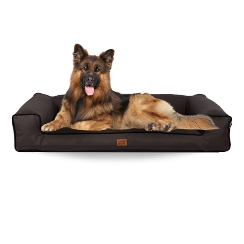 GoldenDog Hundeliege Torres Oxford Großes Hundebett, großes waschbares Katzenbett, Hundekissen aus dickem wasserdichtem Stoff, kratzfestes Schaumstoff-Hundebett, Graphit L GoldenDog Hundeliege Torres Oxford Großes Hundebett, großes waschbares Katzenbett, Hundekissen aus dickem wasserdichtem Stoff, kratzfestes Schaumstoff-Hundebett, Graphit L von GOLDEN DOG