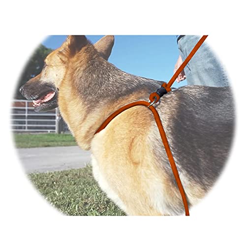 GOLDMANS All-in-One-Leinengeschirr – 1.8 m langes, geflochtenes Seil für Hunde, Haustierleine für Spaziergänge, Verkehrstraining, Zubehör, Hundeübungsausrüstung, 1.8 m lange Leine (Orange) von GOLDMANS