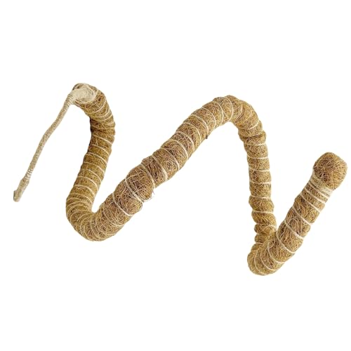 GOLOVENLD Reptiles Habitat Decors Flexible Kletterrebe zum Aufhängen, Dschungelrebe für Eidechsen, Reptilien, Unterschlupf GOLOVENLD Reptiles Habitat Decors Flexible Kletterrebe zum Aufhängen, Dschungelrebe für Eidechsen, Reptilien, Unterschlupf von GOLOVENLD
