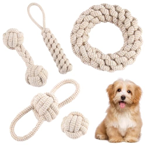 5 Stück Kauen Hundespielzeug Set,Interaktives Kauspielzeug aus Natürlicher Baumwolle,Hundespielzeug Seil mit Knoten Ball,für Kleine Mittlere Große Welpen Katzen Haustier Zahnpflege,Beige Leinen 5 Stück Kauen Hundespielzeug Set,Interaktives Kauspielzeug aus Natürlicher Baumwolle,Hundespielzeug Seil mit Knoten Ball,für Kleine Mittlere Große Welpen Katzen Haustier Zahnpflege,Beige Leinen von GOMETY