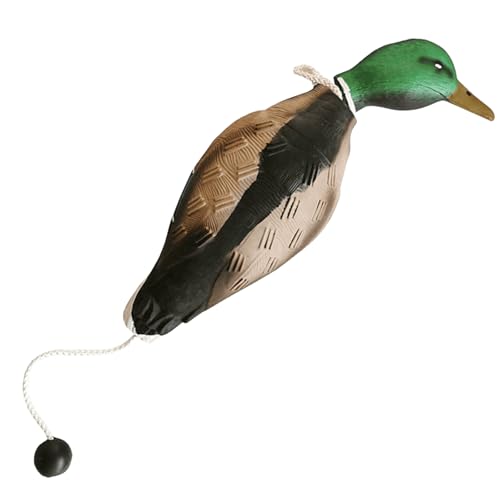 GOMETY Enten Dummy Stoßstange, Mallard Mimics Duck Stoßfänger Spielzeug, Dummy Hundetraining Trainer Für Falsche Enten, Jagdhundezubehör Für Das Training Der Jagdhund Retriever Fähigkeiten von GOMETY