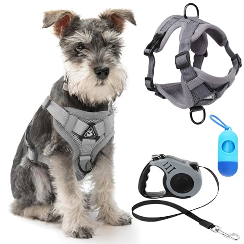 GOMETY Katzengeschirr und Katzenleine Set, Katzen Geschirr Verstellbar Automatisch Einziehbare Katzen Leine mit Toilettenmüllsack für Kleine Hunde Weniger als 5 kg, Ausbruchsicher Set (M, Grau) von GOMETY
