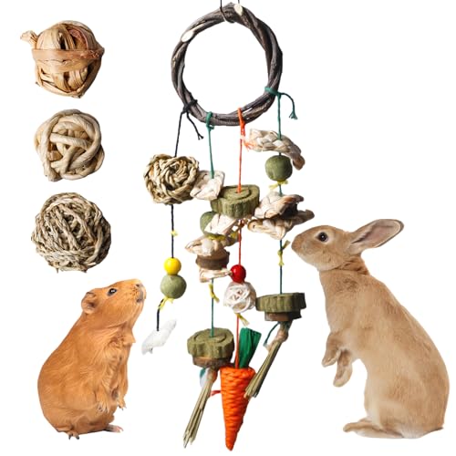 GOMETY Kauspielzeug für Häschen, Kaninchenspielzeug für die Zähne, Kleintiere Kauspielzeug mit 3 Kaubälle, Gras Spielzeug für Meerschweinchen, Hamster, Chinchillas und andere Nagetier von GOMETY