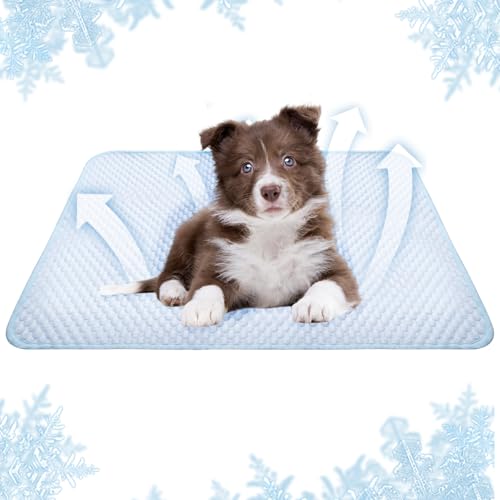 GOMETY Kühlmatte Für Hunde Und Katzen, Selbst Kühlende Hundematte 50 X 70 cm, Sommer Kühlkissen rutschfeste Hundematte, Für Welpen, Box, Körbchen, Auto, Reisen Und Heiße Sommertage (Blau) von GOMETY