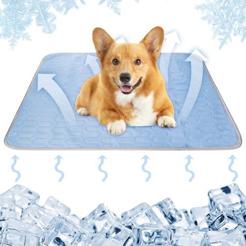 Kühlmatte für Hunde, 70X50cm Selbstkühlende Hundematte, Hundeboxmatte Rutschfeste, Haustier Kühldecke Hundebett, Waschbar Kühlkissen Kühlende Hundedecke Weiche für Hasen Katzen und Hunde (Blau) von GOMETY