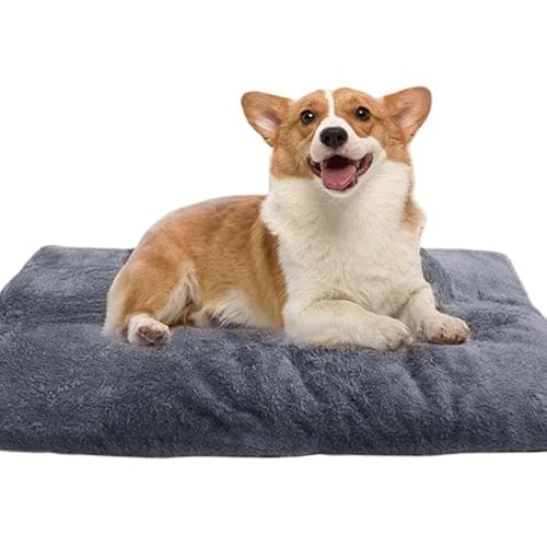 GOMETY Selbstheizende Katzendecke, 70×45cm Wärmematte Katze, Waschbare Hunde Thermodecke, Geräuschlos Selbstheizende, Kuscheldecke Hund, Haustierdecke Waschbar Kissen Draußen, Katzen Bettchen(Grau) GOMETY Selbstheizende Katzendecke, 70×45cm Wärmematte Katze, Waschbare Hunde Thermodecke, Geräuschlos Selbstheizende, Kuscheldecke Hund, Haustierdecke Waschbar Kissen Draußen, Katzen Bettchen(Grau) von GOMETY
