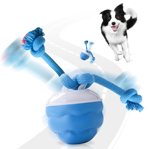 Interaktives Hundespielzeug, Elektrisch Hundespielzeug Ball mit Fernbedienung, Interaktiver Spielball für Hunde, Interaktiver Hundeball mit Seil Bewegungsaktiviert USB-Aufladung für Hunde(Blau) von GOMETY