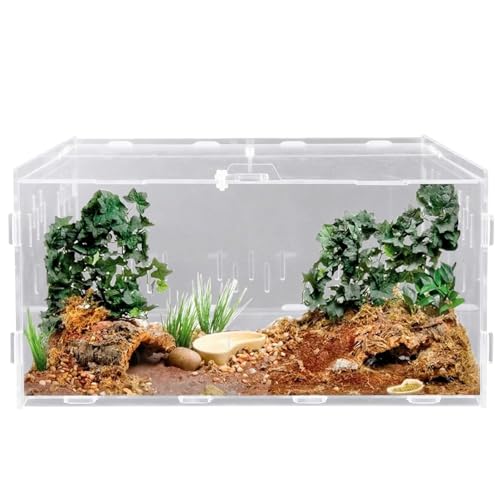 Reptil Fütterungsbox aus Acryl, 30x20x15cm Schnecken Terrarium Feeding Box, Reptilien Terrarium Transportbox Insekten Futterbox für Wasserschildkröten Spinnen Einsiedlerkrebs Hamster Echse von GOMETY
