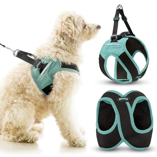 Escape Free Easy Fit X, Seattle Blue, X-Large von GOOBY