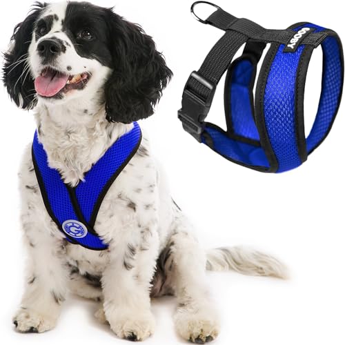 Gooby - Comfort X Head-In Harness, Choke Free Small Dog Harness with Micro Suede Trimming and Patented X Frame, Blue, Small von GOOBY