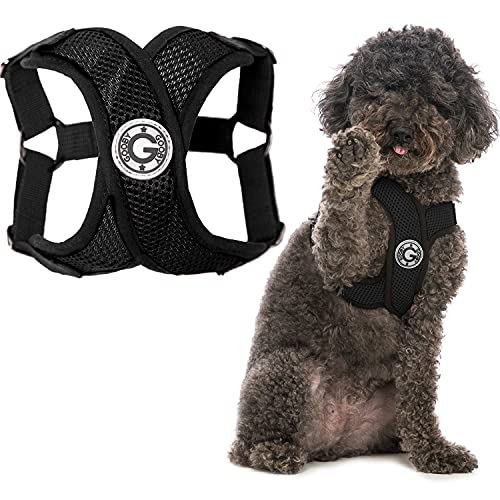Gooby Comfort X Step-in-Geschirr, Erstickungsfrei, kleines Hundegeschirr mit Mikro-Wildlederbesatz und patentiertem X-Rahmen, Schwarz, Größe XL Gooby Comfort X Step-in-Geschirr, Erstickungsfrei, kleines Hundegeschirr mit Mikro-Wildlederbesatz und patentiertem X-Rahmen, Schwarz, Größe XL von GOOBY