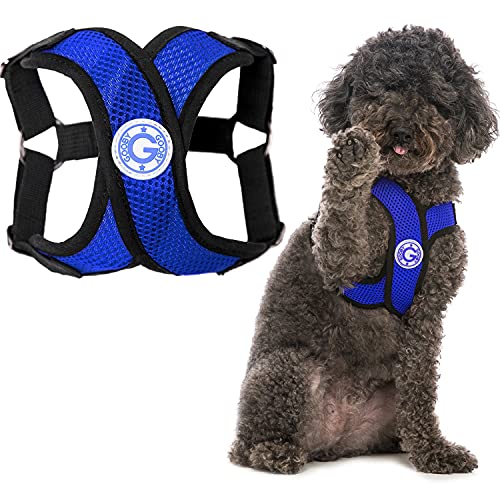 Gooby - Comfort X Step-In Hundegeschirr, erstickungsfrei, kleines Hundegeschirr mit Mikro-Wildlederbesatz und patentiertem X-Rahmen, blau, X-Large von GOOBY