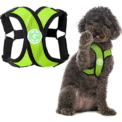 Gooby Choke Free Comfort X Step-In Hundegeschirr, Größe XL, Grün von GOOBY
