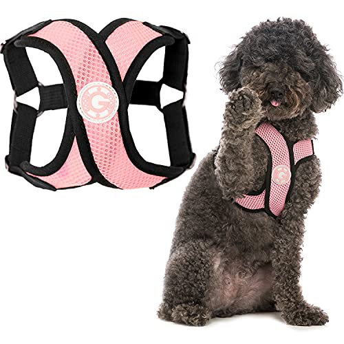 Gooby - Comfort X Step-In-Hundegeschirr, Würgefrei, mit Mikro-Wildlederbesatz und patentiertem X-Rahmen, Pink, Größe M Gooby - Comfort X Step-In-Hundegeschirr, Würgefrei, mit Mikro-Wildlederbesatz und patentiertem X-Rahmen, Pink, Größe M von GOOBY
